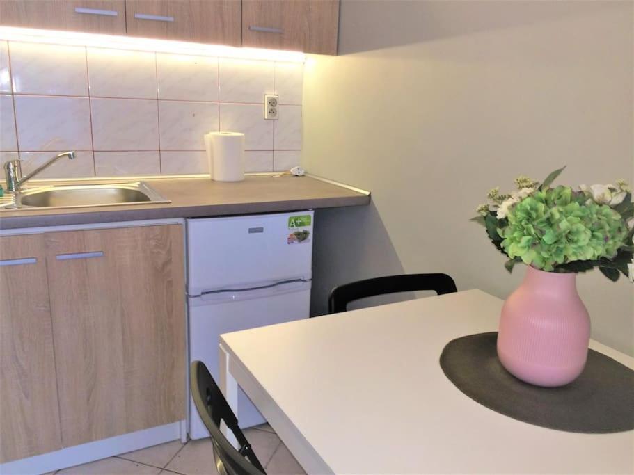 57 Łobzowska bright apartment Kraków Zewnętrze zdjęcie